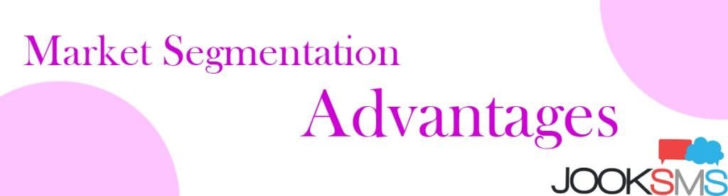 What are the Advantages of Market Segmentation