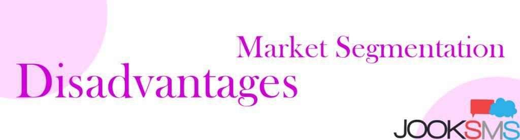 What are the Disadvantages of Market Segmentation