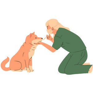 Pet and Veterinary Message Confirmation sms